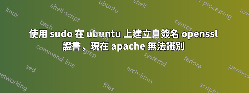 使用 sudo 在 ubuntu 上建立自簽名 openssl 證書，現在 apache 無法識別