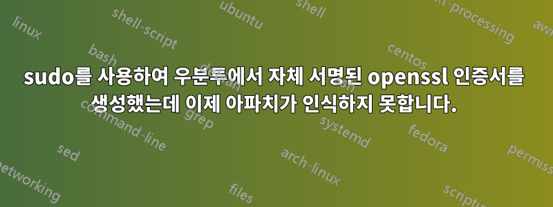 sudo를 사용하여 우분투에서 자체 서명된 openssl 인증서를 생성했는데 이제 아파치가 인식하지 못합니다.