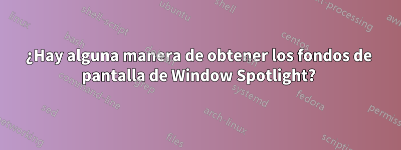 ¿Hay alguna manera de obtener los fondos de pantalla de Window Spotlight?
