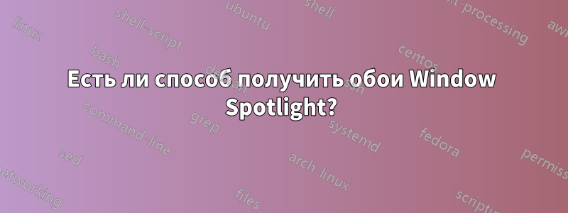 Есть ли способ получить обои Window Spotlight?