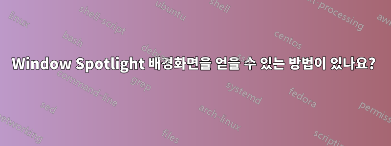 Window Spotlight 배경화면을 얻을 수 있는 방법이 있나요?