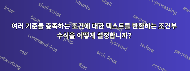 여러 기준을 충족하는 조건에 대한 텍스트를 반환하는 조건부 수식을 어떻게 설정합니까?