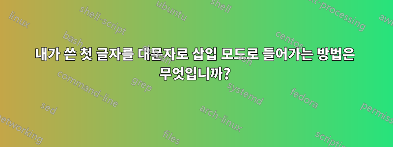 내가 쓴 첫 글자를 대문자로 삽입 모드로 들어가는 방법은 무엇입니까?