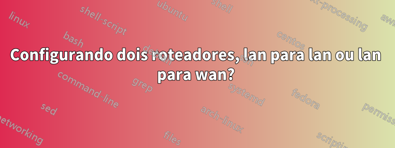 Configurando dois roteadores, lan para lan ou lan para wan?