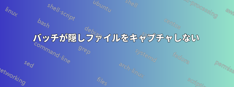 バッチが隠しファイルをキャプチャしない