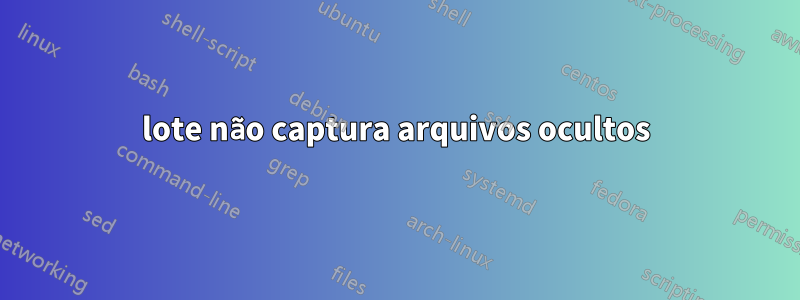 lote não captura arquivos ocultos