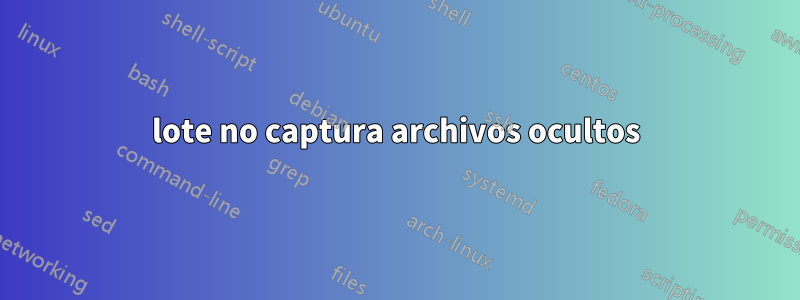 lote no captura archivos ocultos