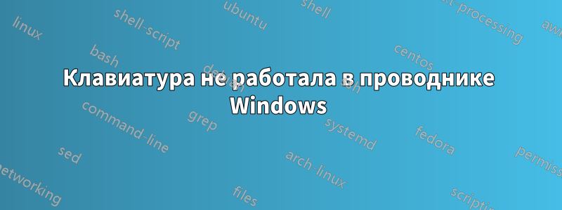 Клавиатура не работала в проводнике Windows