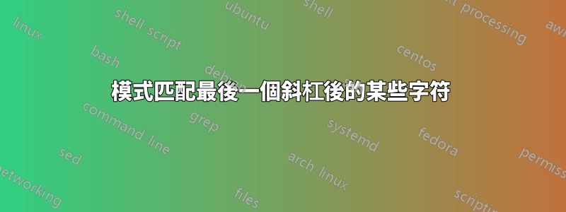 模式匹配最後一個斜杠後的某些字符