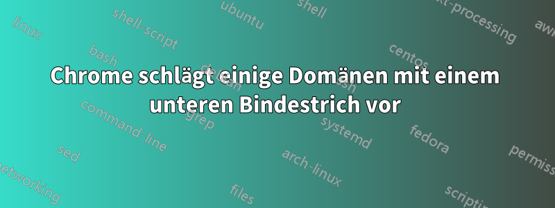 Chrome schlägt einige Domänen mit einem unteren Bindestrich vor