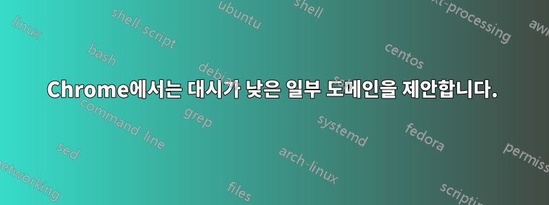 Chrome에서는 대시가 낮은 일부 도메인을 제안합니다.