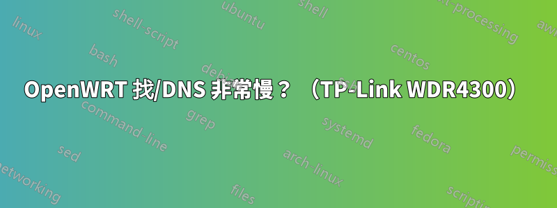 OpenWRT 找/DNS 非常慢？ （TP-Link WDR4300）