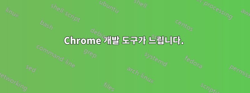 Chrome 개발 도구가 느립니다.
