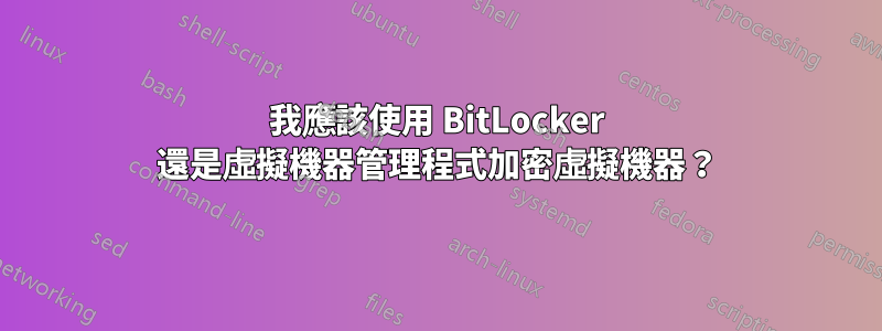 我應該使用 BitLocker 還是虛擬機器管理程式加密虛擬機器？