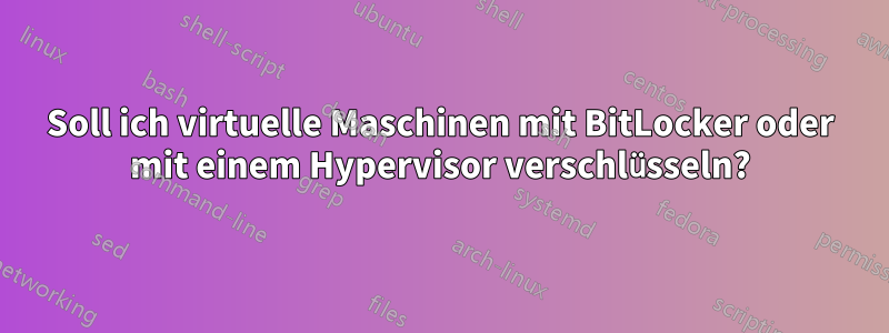 Soll ich virtuelle Maschinen mit BitLocker oder mit einem Hypervisor verschlüsseln?