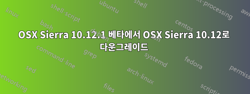 OSX Sierra 10.12.1 베타에서 OSX Sierra 10.12로 다운그레이드