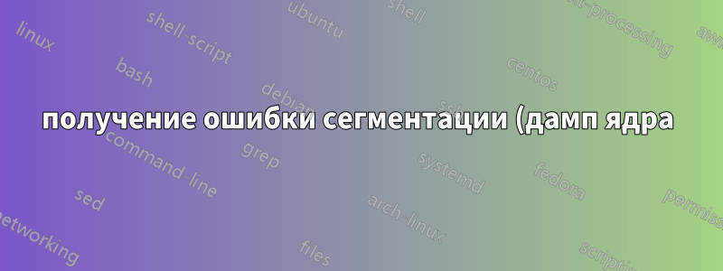 получение ошибки сегментации (дамп ядра) при использовании ffmpeg и указании времени начала