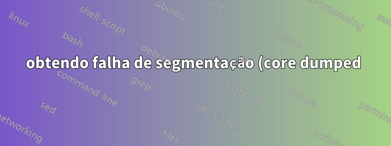 obtendo falha de segmentação (core dumped) ao usar ffmpeg e especificar o horário de início