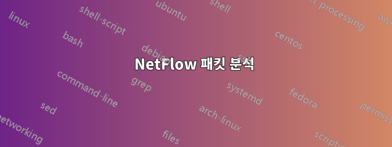 NetFlow 패킷 분석