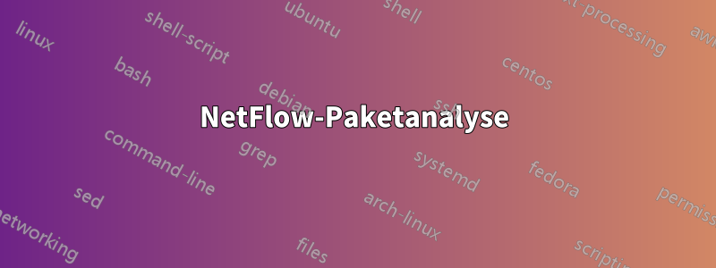 NetFlow-Paketanalyse