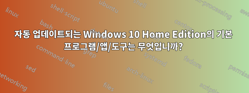 자동 업데이트되는 Windows 10 Home Edition의 기본 프로그램/앱/도구는 무엇입니까?