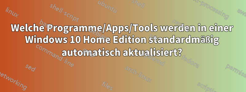 Welche Programme/Apps/Tools werden in einer Windows 10 Home Edition standardmäßig automatisch aktualisiert?