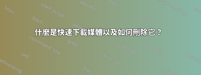 什麼是快速下載媒體以及如何刪除它？ 