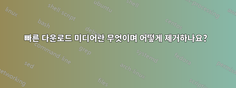 빠른 다운로드 미디어란 무엇이며 어떻게 제거하나요? 