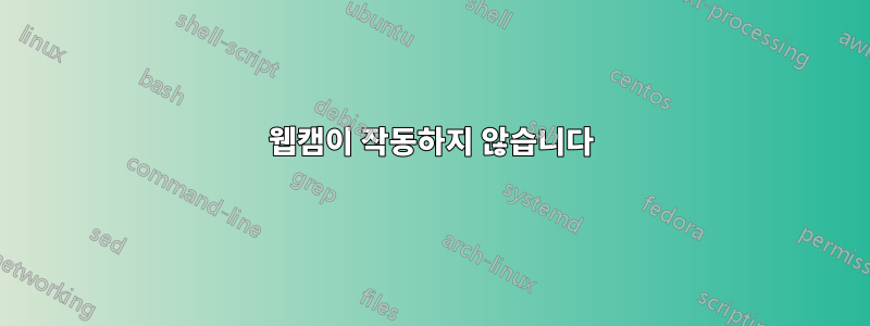 웹캠이 작동하지 않습니다