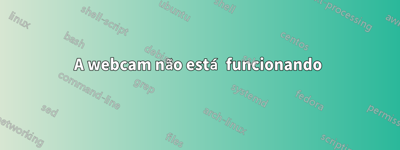 A webcam não está funcionando