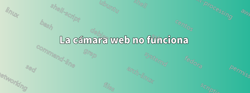 La cámara web no funciona