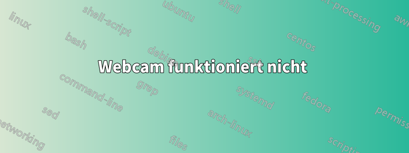 Webcam funktioniert nicht