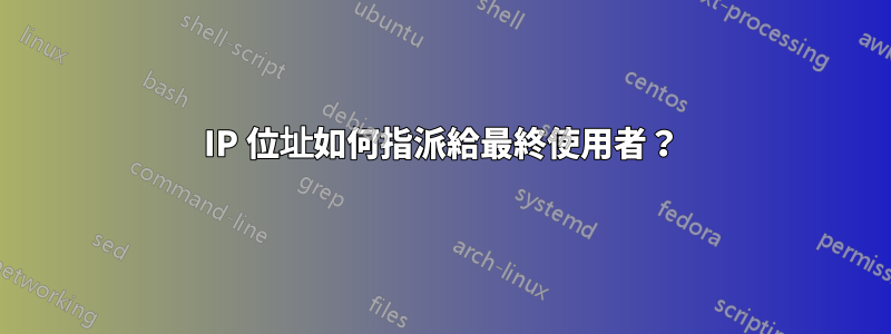 IP 位址如何指派給最終使用者？