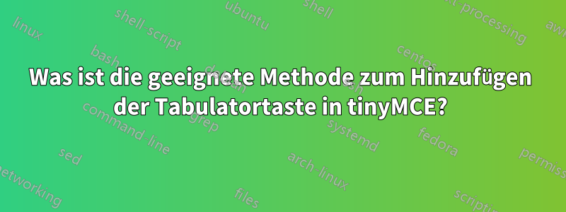 Was ist die geeignete Methode zum Hinzufügen der Tabulatortaste in tinyMCE?