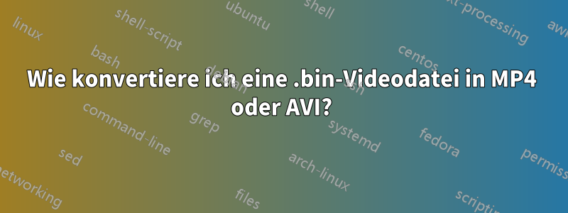 Wie konvertiere ich eine .bin-Videodatei in MP4 oder AVI?