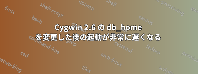 Cygwin 2.6 の db_home を変更した後の起動が非常に遅くなる