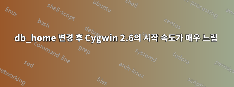 db_home 변경 후 Cygwin 2.6의 시작 속도가 매우 느림