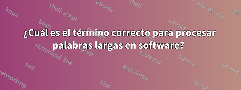 ¿Cuál es el término correcto para procesar palabras largas en software? 