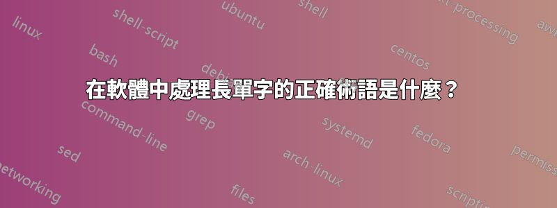 在軟體中處理長單字的正確術語是什麼？ 