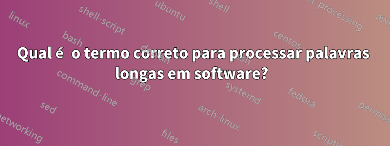 Qual é o termo correto para processar palavras longas em software? 