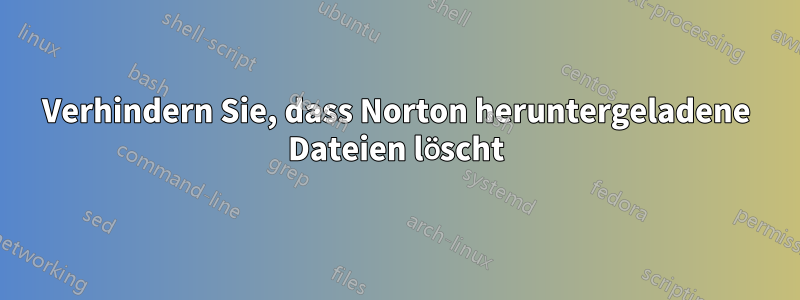 Verhindern Sie, dass Norton heruntergeladene Dateien löscht