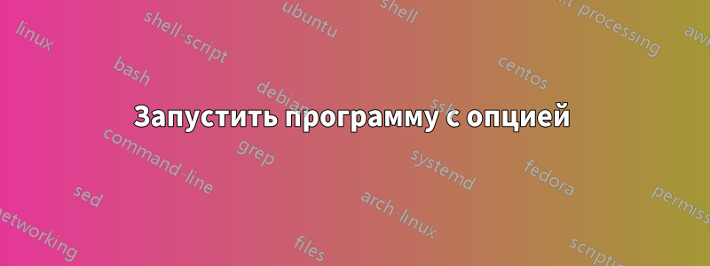 Запустить программу с опцией