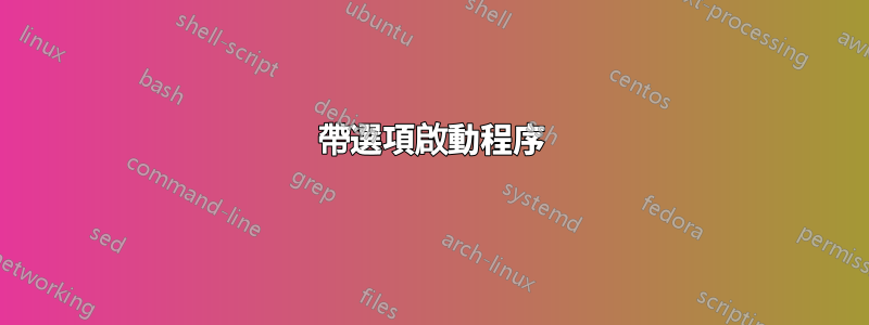帶選項啟動程序