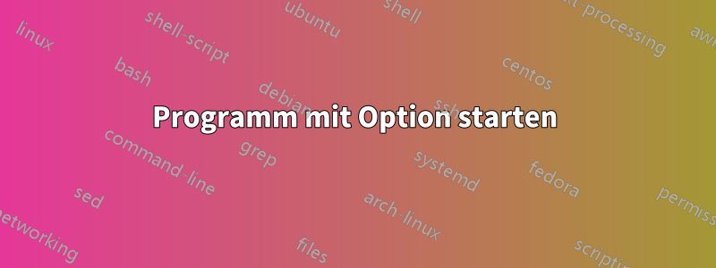 Programm mit Option starten