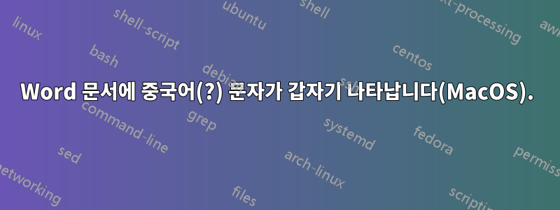 Word 문서에 중국어(?) 문자가 갑자기 나타납니다(MacOS).