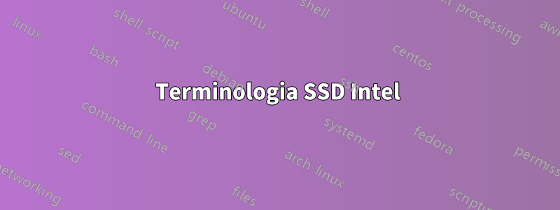 Terminologia SSD Intel