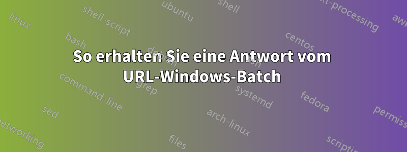 So erhalten Sie eine Antwort vom URL-Windows-Batch