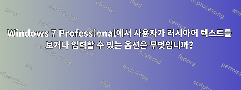 Windows 7 Professional에서 사용자가 러시아어 텍스트를 보거나 입력할 수 있는 옵션은 무엇입니까?