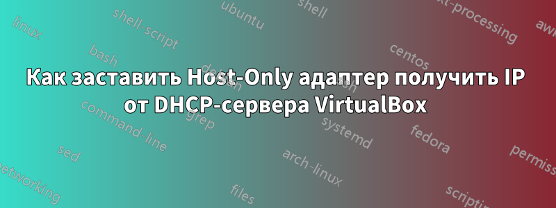 Как заставить Host-Only адаптер получить IP от DHCP-сервера VirtualBox