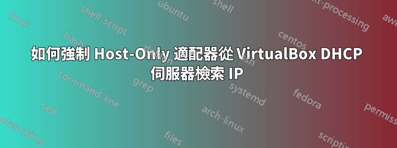 如何強制 Host-Only 適配器從 VirtualBox DHCP 伺服器檢索 IP